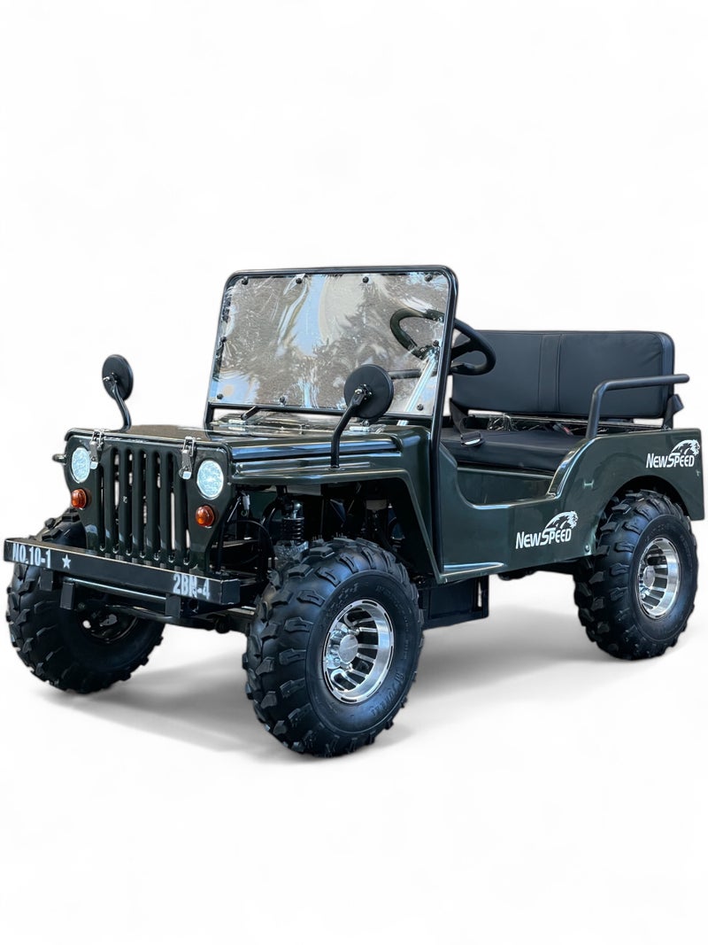 نيو سبيد سيارة ميني جيب كهربائية 60 فولت