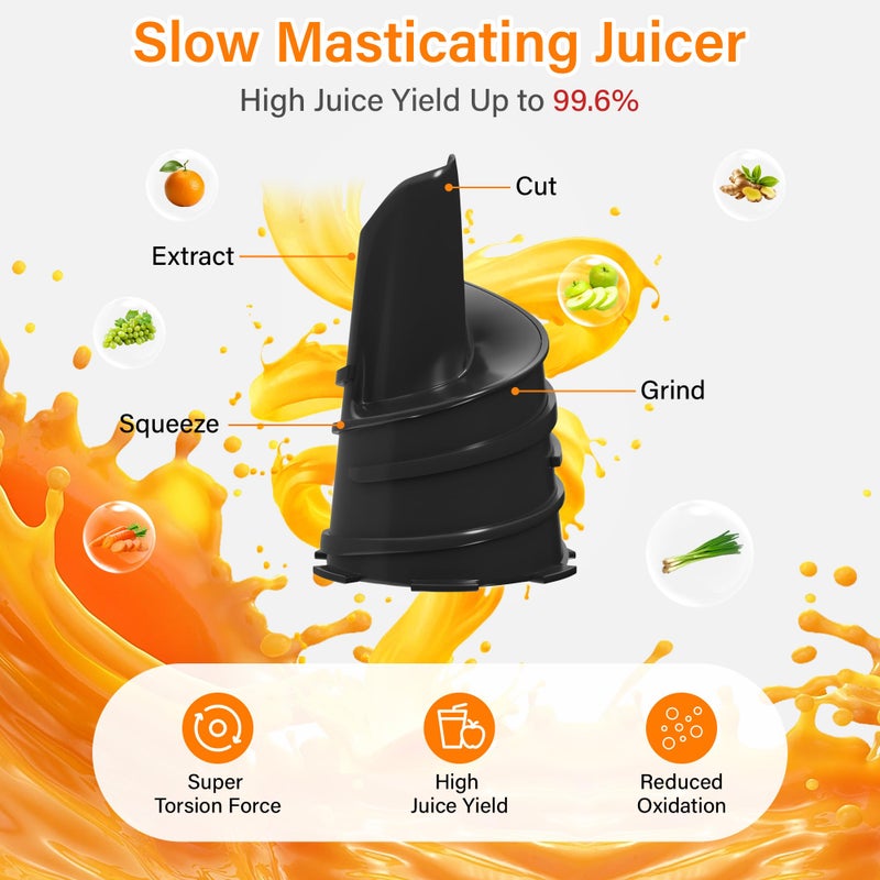 Floisdace Cold Press Juicer, Masticating Juicer with Large Feed Chute Fit Whole Fruits & Vegetablesï¼ŒStainless Steel Slow Masticating Juicer Easy to Clean, 99.6% Juice Purity, Metallic Silve - Image 3