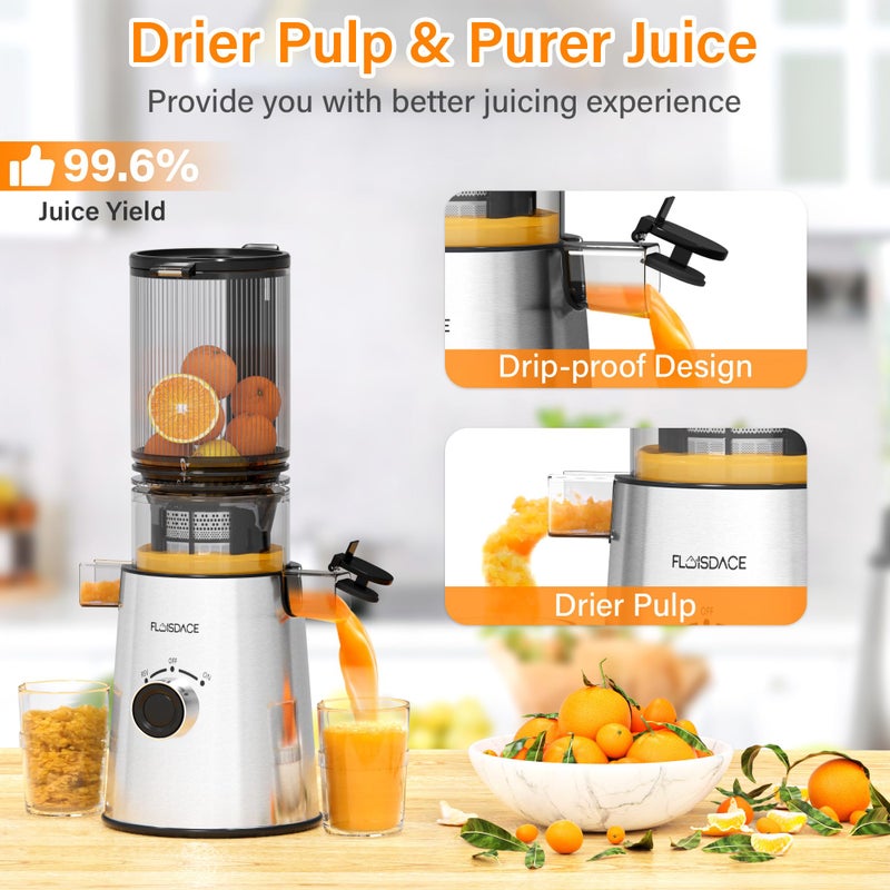 Floisdace Cold Press Juicer, Masticating Juicer with Large Feed Chute Fit Whole Fruits & Vegetablesï¼ŒStainless Steel Slow Masticating Juicer Easy to Clean, 99.6% Juice Purity, Metallic Silve - Image 2