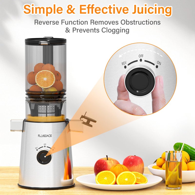 Floisdace Cold Press Juicer, Masticating Juicer with Large Feed Chute Fit Whole Fruits & Vegetablesï¼ŒStainless Steel Slow Masticating Juicer Easy to Clean, 99.6% Juice Purity, Metallic Silve - Image 5