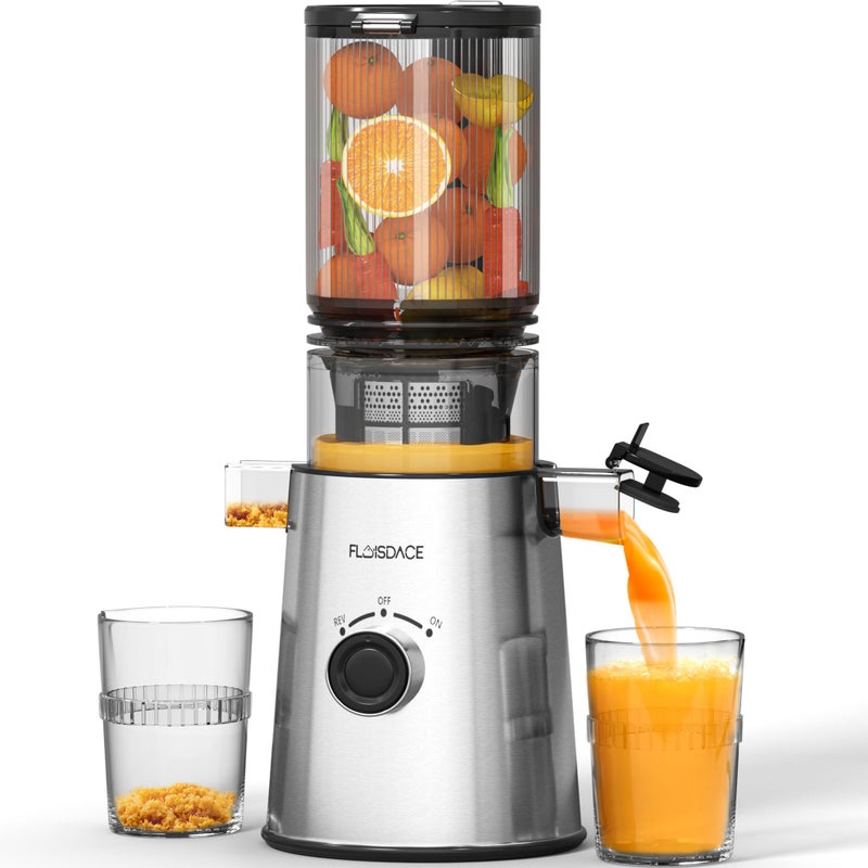 Floisdace Cold Press Juicer, Masticating Juicer with Large Feed Chute Fit Whole Fruits & Vegetablesï¼ŒStainless Steel Slow Masticating Juicer Easy to Clean, 99.6% Juice Purity, Metallic Silve - Image 1
