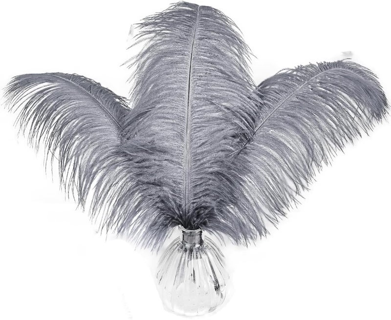 HAPPY FEATHER 16-18 inch Gray Ostrich Feathers Craft for Wedding Party Centerpieces Home Decoration DIY Craft Pack of 10 - Image 1