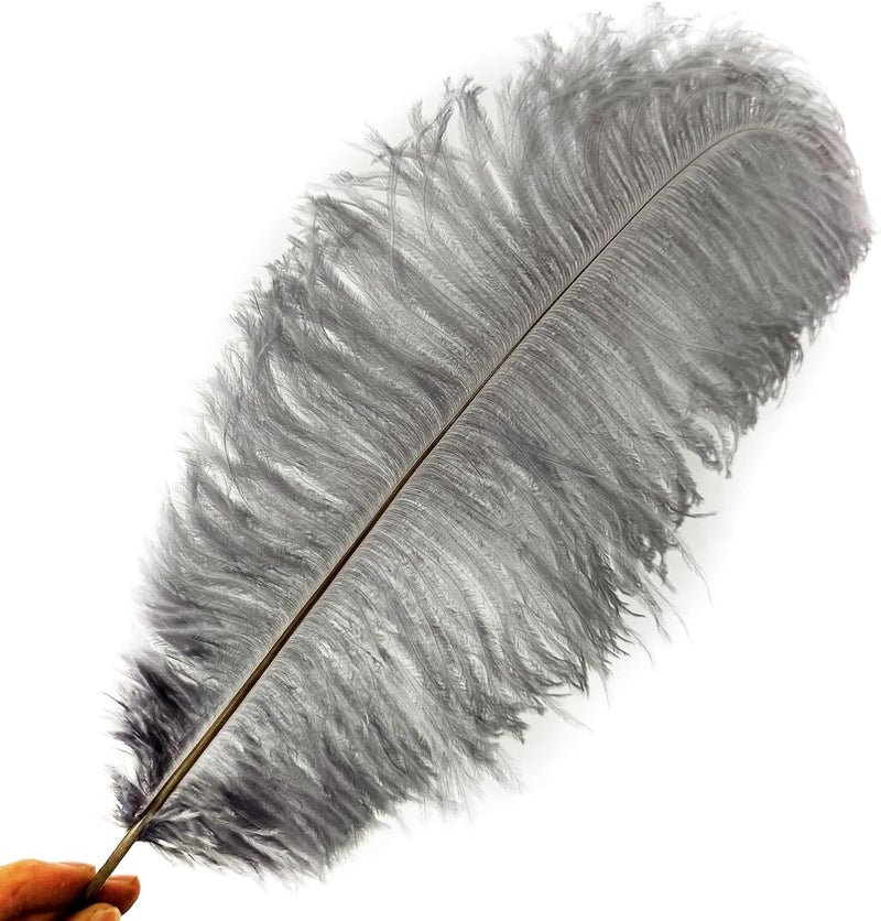 HAPPY FEATHER 16-18 inch Gray Ostrich Feathers Craft for Wedding Party Centerpieces Home Decoration DIY Craft Pack of 10 - Image 2