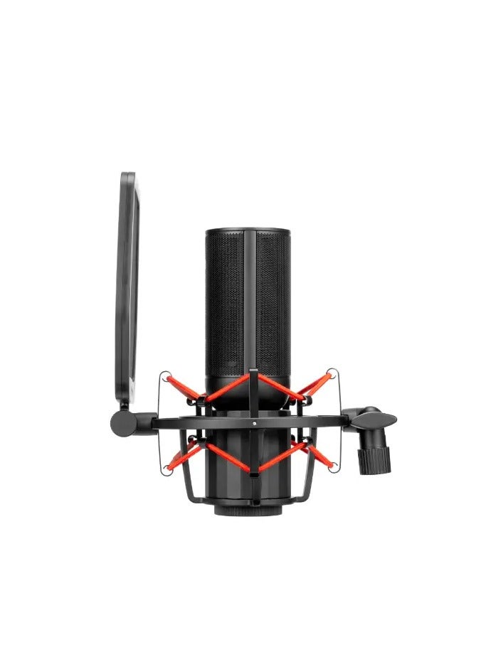 Saramonic SR-BV4 Large Diaphragm condenser microphone - Image 5