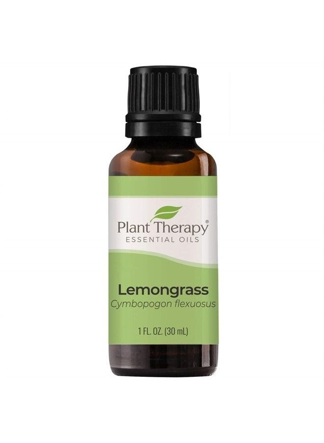 Plant Therapy Lemongrass Essential Oil 100% Pure, Undiluted, Natural Aromatherapy, Therapeutic Grade 30 mL (1 oz)  - Image 1