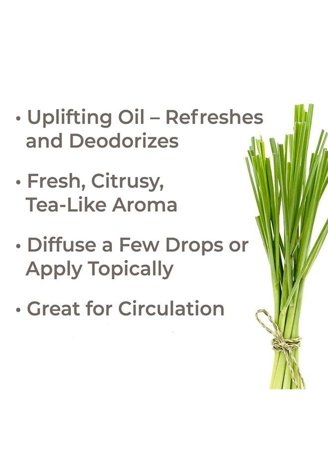 Plant Therapy Lemongrass Essential Oil 100% Pure, Undiluted, Natural Aromatherapy, Therapeutic Grade 30 mL (1 oz)  - Image 2