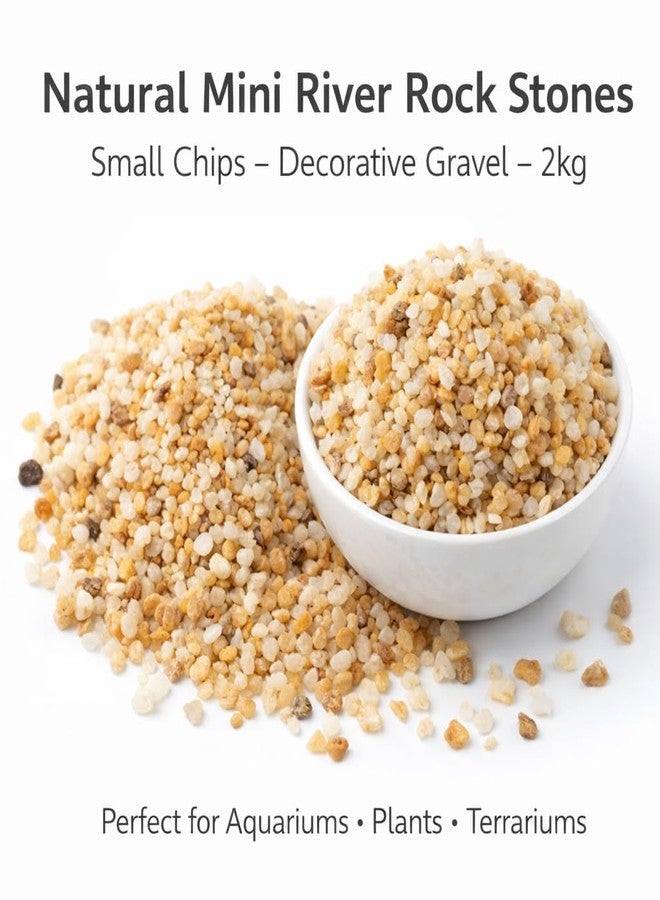 أحجار نهرية صغيرة طبيعية من فاييناتو®، ٢ كجم - رقائق حصى زخرفية صغيرة لأحواض السمك، والنباتات المحفوظة في أصص، وأحواض النباتات الزجاجية، وتنسيق الحدائق - رمل ناعم مغسول لتغطية سطح الأحواض - Image 2