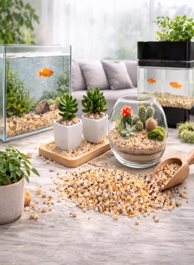 أحجار نهرية صغيرة طبيعية من فاييناتو®، ٢ كجم - رقائق حصى زخرفية صغيرة لأحواض السمك، والنباتات المحفوظة في أصص، وأحواض النباتات الزجاجية، وتنسيق الحدائق - رمل ناعم مغسول لتغطية سطح الأحواض - Image 1