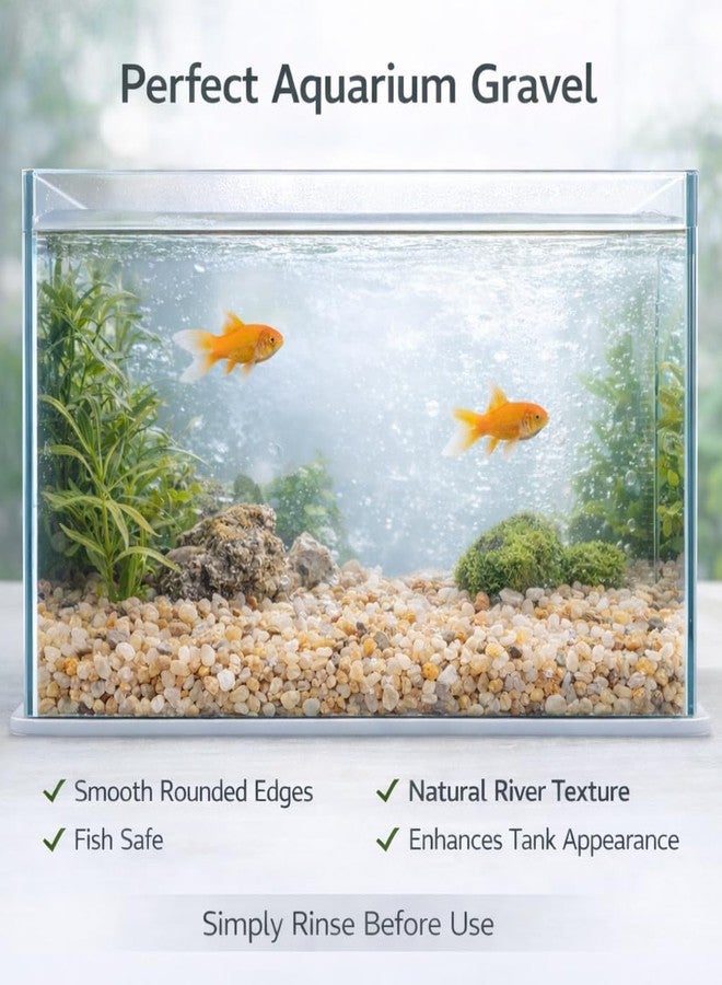 أحجار نهرية صغيرة طبيعية من فاييناتو®، ٢ كجم - رقائق حصى زخرفية صغيرة لأحواض السمك، والنباتات المحفوظة في أصص، وأحواض النباتات الزجاجية، وتنسيق الحدائق - رمل ناعم مغسول لتغطية سطح الأحواض - Image 4