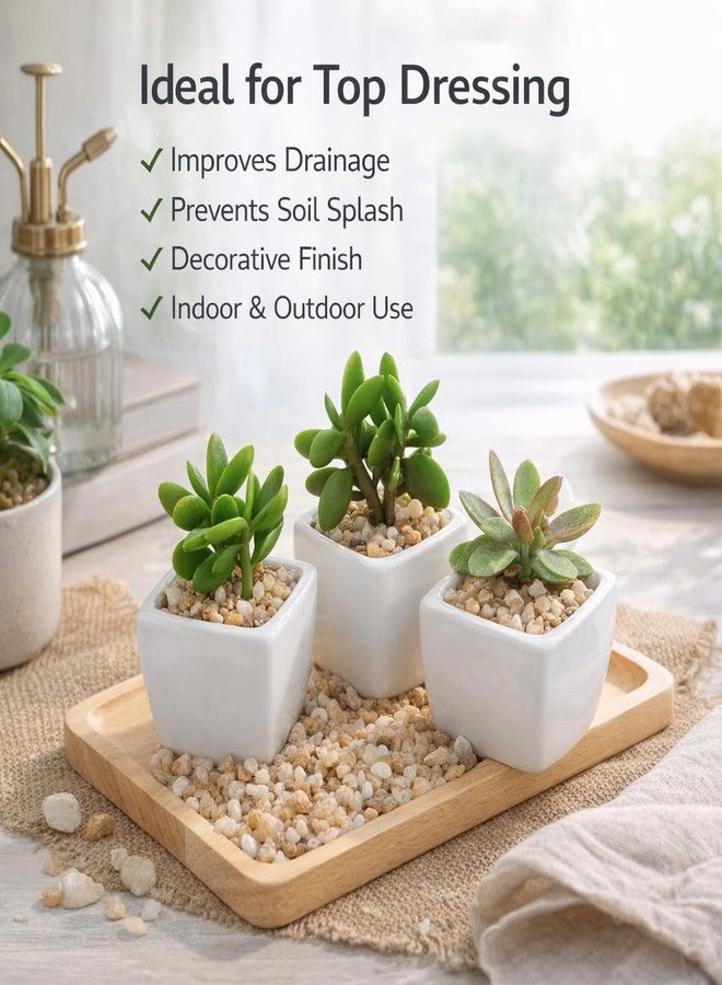 أحجار نهرية صغيرة طبيعية من فاييناتو®، ٢ كجم - رقائق حصى زخرفية صغيرة لأحواض السمك، والنباتات المحفوظة في أصص، وأحواض النباتات الزجاجية، وتنسيق الحدائق - رمل ناعم مغسول لتغطية سطح الأحواض - Image 5