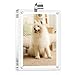 Drytuns Car Visor Photo Clip Car Picture Holder Acrylic Magnetic Picture Frame Magnetic Photo Frames for Refrigerator for Car Refrigerator Home School Office - Image 2