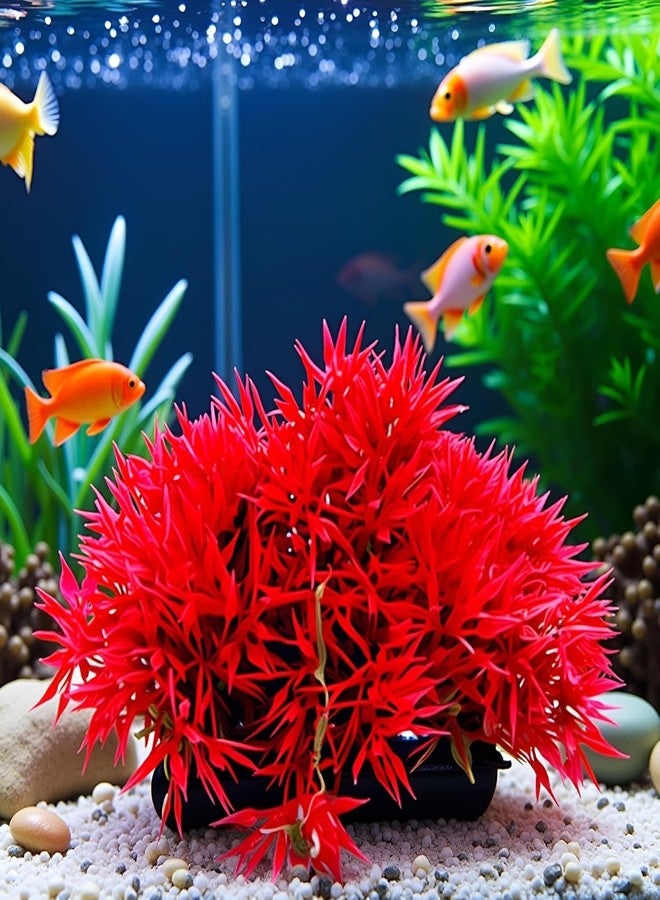 SelHeng 2Pcs Red Artificial Flowers, Fake Flowers, Artificial Pine with Base Grass Fish Tank Ornament Aquatic Plant Landscape Decor, Aquarium Décor - Image 4