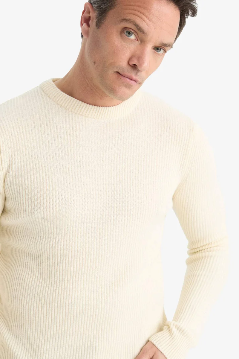 Defacto Standard Fit Crew Neck Knitwear Pullover