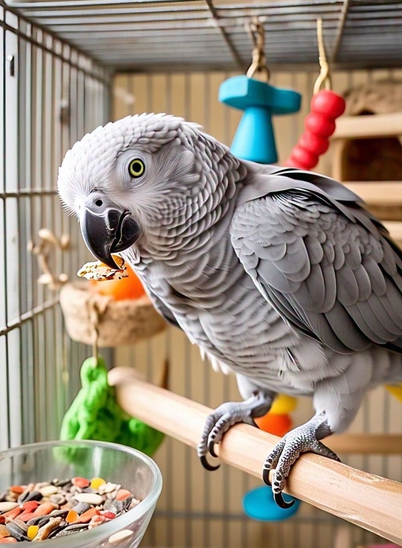 طعام طيور توكي للببغاوات – 650 جرام مزيج طبيعي وصحي من البذور الفاخرة، | طعام طيور يومي للببغاء الرمادي، المكاو، ببغاء الأمازون، طعام بذور الكوكاتو، طعام الباراكيت لجميع مراحل الحياة - Image 3