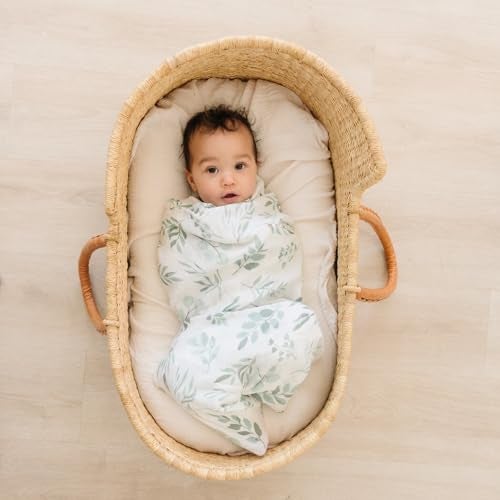 Pondering Pine Organic Baby Muslin Swaddle Blankets for Boy or Girl - Eucalyptus Leaves and Sage Swaddling Blanket 2 Pack - Soft Muslin, XLarge and Breathable, Boho Baby, 47" X 47" - Image 2