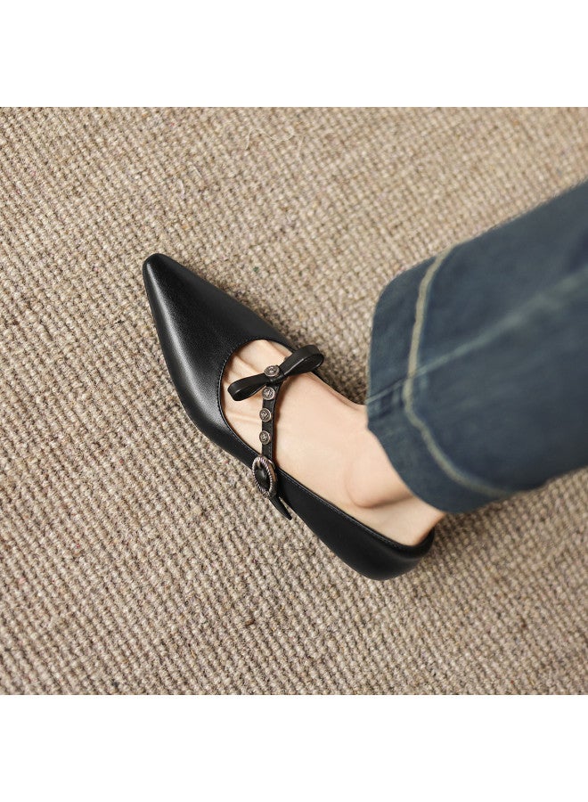 AME Pointed-toe Mary Jane Shoes 2025 New Design Decorative Buckle Flats With Horseshoe Heel, Unique And Stylish Niche Women's Shoes - Image 3