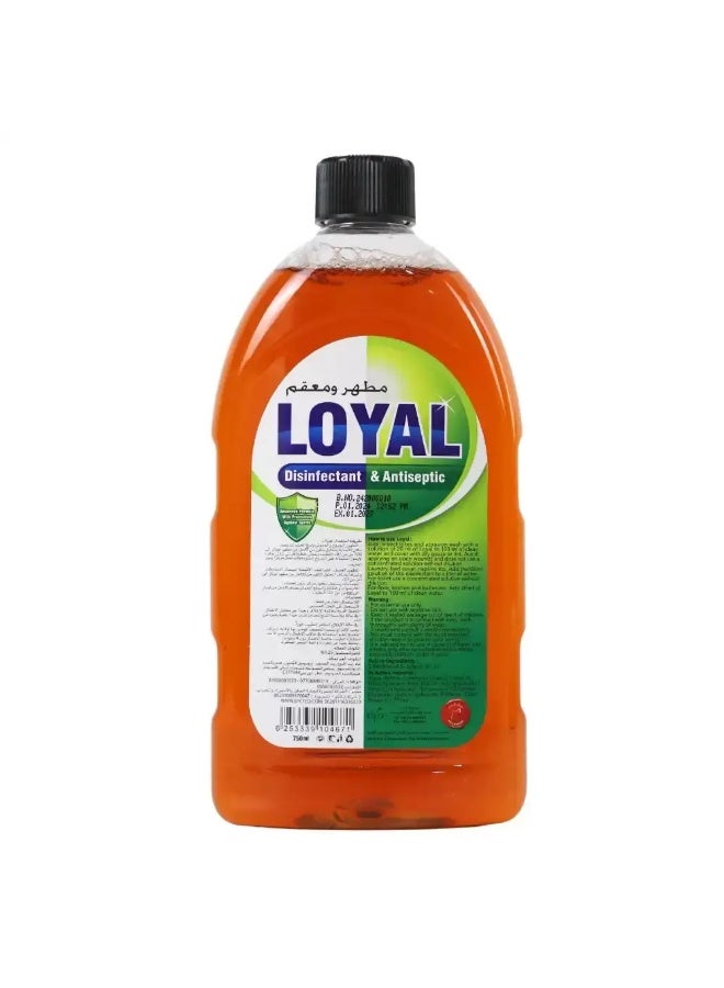 loyal Loyal Disinfectant And Antiseptic Liquid Advanced Formula With Protection Against Germs- 750ml 
