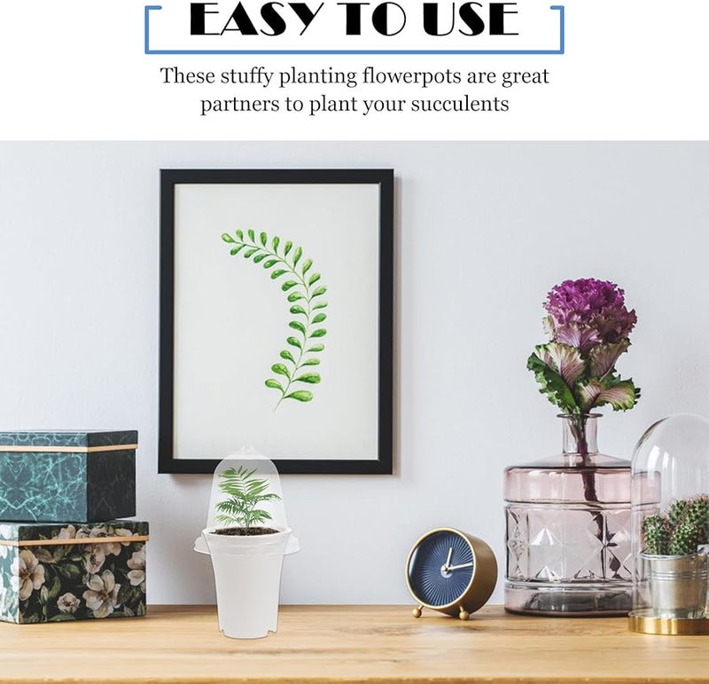 Luxshiny 2pcs White Succulent Planter Pots with Air Vent Lids for Indoor Plants - Image 5