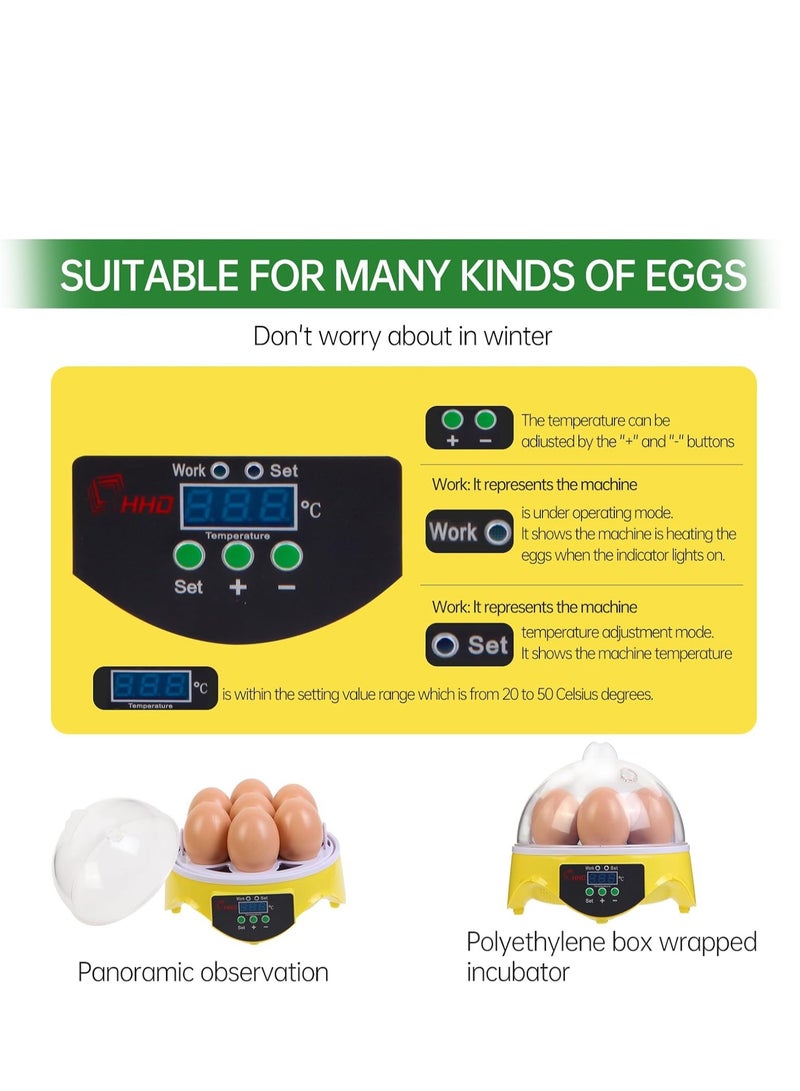 Generic 360° View 7-Egg Poultry Incubator for Hatching Chicken, Duck, Goose, Parrot, and Quail Eggs, with Temperature Control, yellow  - Image 3