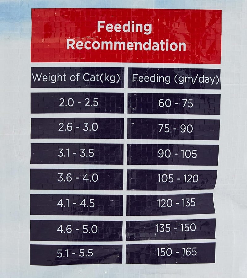 Charmie Dry Cat Food - Salmon Flavor - Image 5