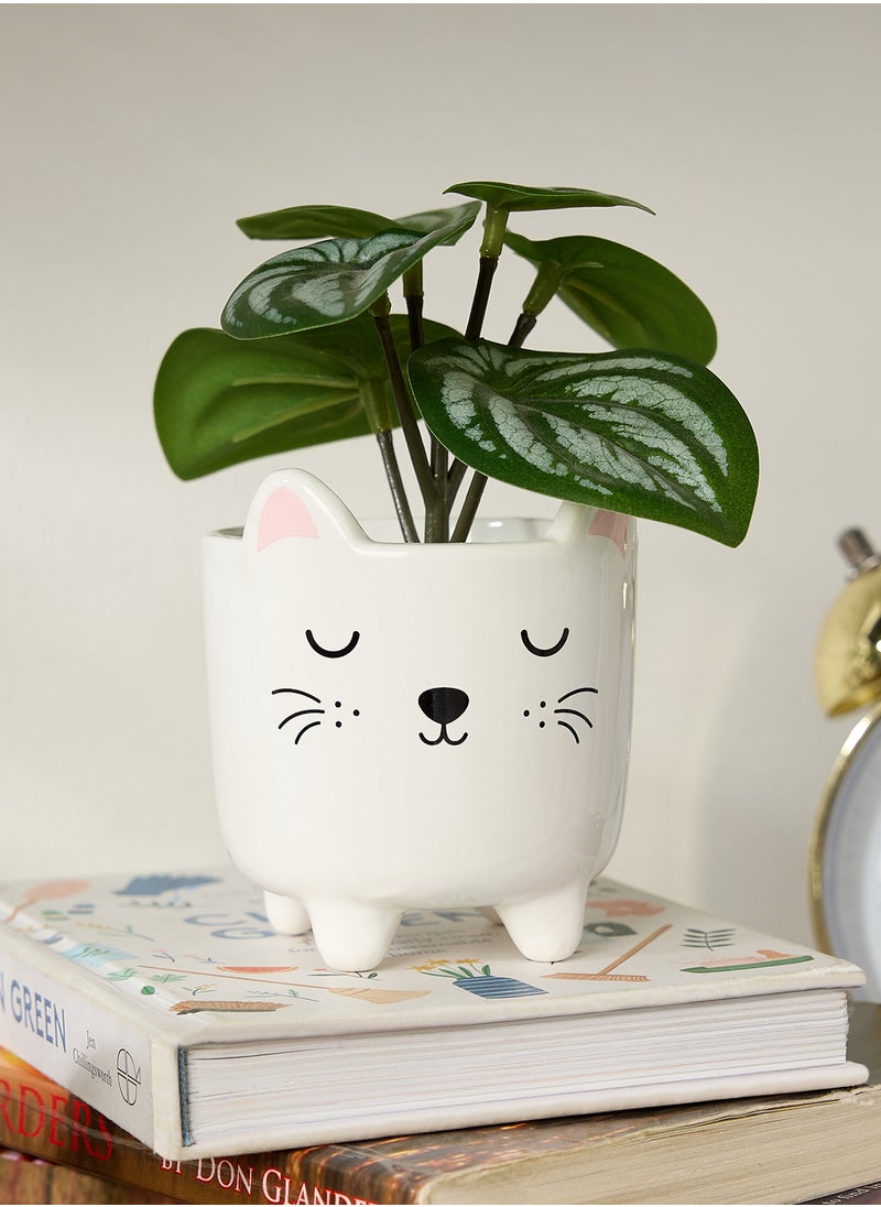 Mini Cat Planter on Legs - pzsku/ZB229F0C266E1B710B92FZ/45/_/1729755070/e46962cf-d746-4065-a50c-ed80442ad053