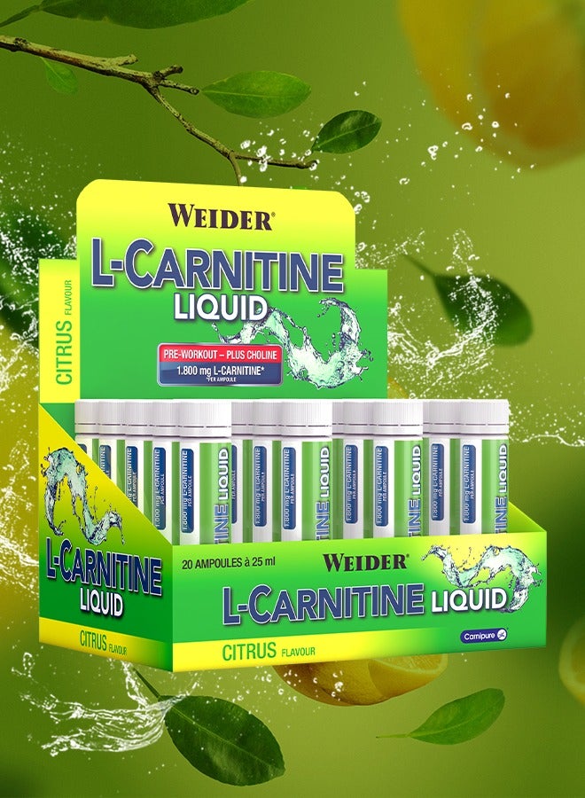 Weider L-Carnitine liquid, Pre workout, Plus choline, 1.800 mg L-carnitine, 20 Ampoules x 25 ml, Citrus flavour - Image 3