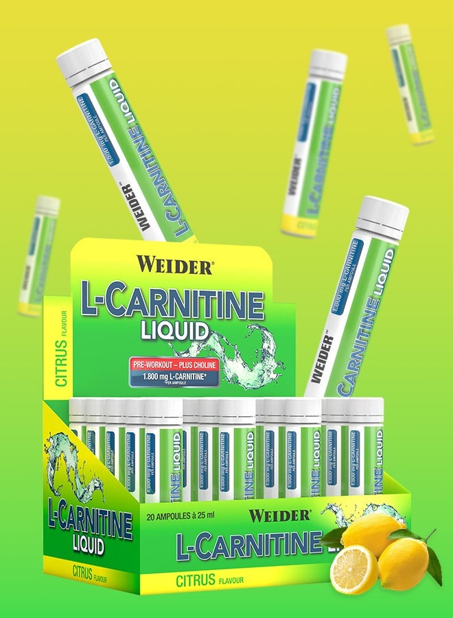 Weider L-Carnitine liquid, Pre workout, Plus choline, 1.800 mg L-carnitine, 20 Ampoules x 25 ml, Citrus flavour - Image 4