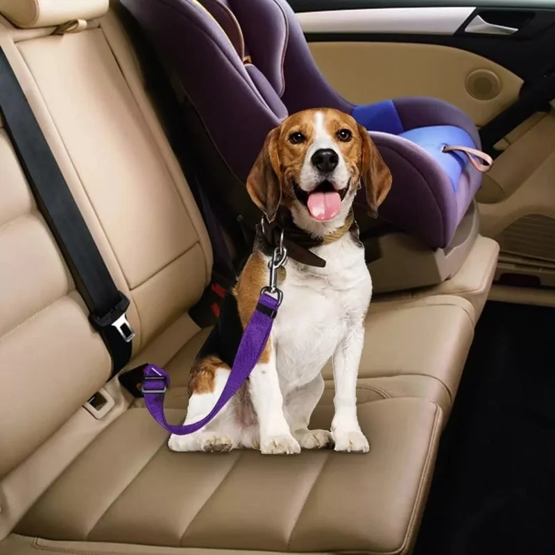 Tineke Pet Vehicle Seat Belt Cat Dog Car Auto Collar Auto Accessories