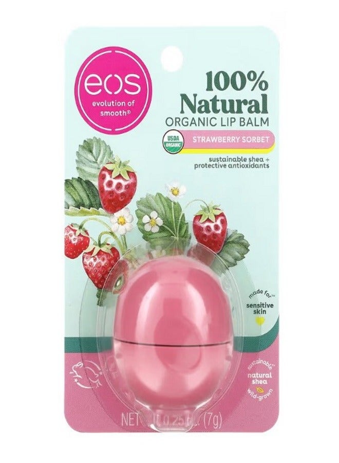 evolution of smooth بلسم شفاه عضوي طبيعي 100% بنكهة فراولة سوربيه 0.25 أونصة 7 جرام - Image 2