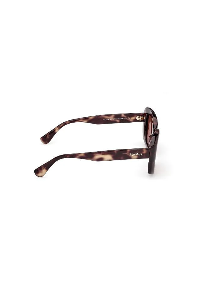 MaxMara  wayfarers sunglasses for Women | Best Price UAE
