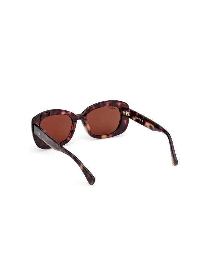 MaxMara  wayfarers sunglasses for Women | Best Price UAE