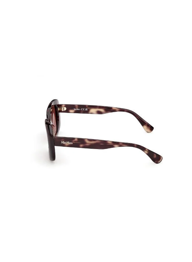 MaxMara  wayfarers sunglasses for Women | Best Price UAE