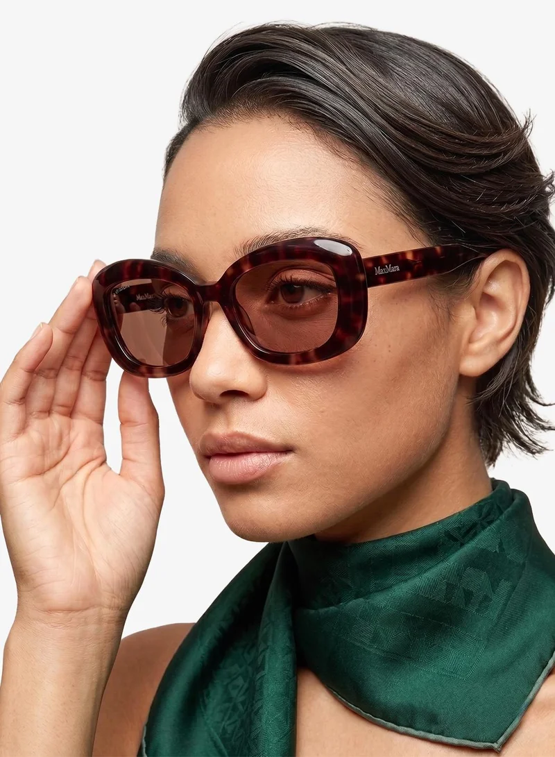 MaxMara  wayfarers sunglasses for Women | Best Price UAE