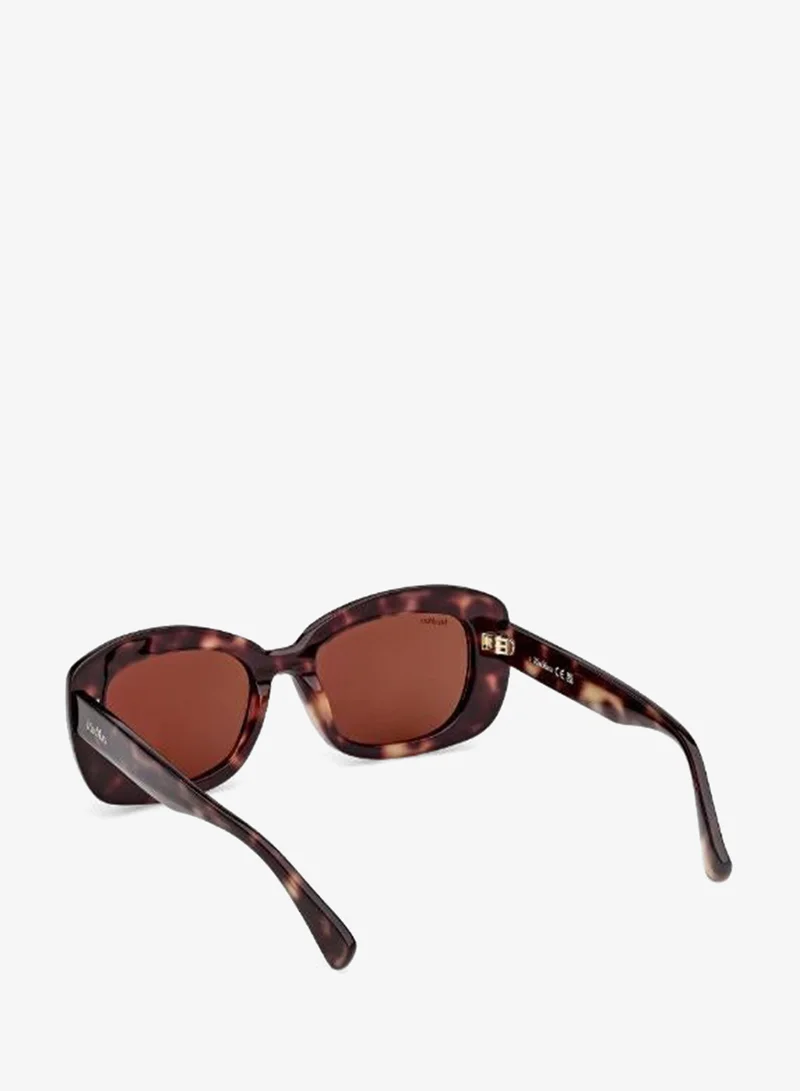 Maxmara  wayfarers sunglasses for Women | Best Price UAE