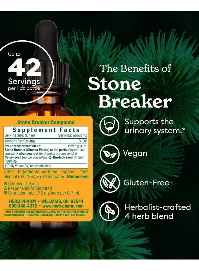 هيرب فارم مركب هيرب فارم كاسر الحجارة (شانكا بيدرا) سائل لدعم الجهاز البولي - 1 أونصة سائلة - Image 2