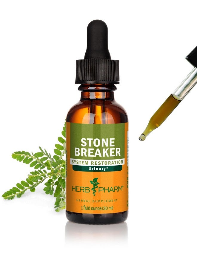 هيرب فارم مركب هيرب فارم كاسر الحجارة (شانكا بيدرا) سائل لدعم الجهاز البولي - 1 أونصة سائلة - Image 1