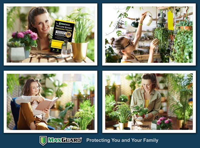MaxGuard (20 Pack) Yellow Sticky Hanging Traps - Catch and Kill Fungus Gnats, Whiteflies, Mosquitos, Aphids, Leaf Miners, Flying Insect Catcher Glue Trappers for Indoor or Outdoor - Image 5