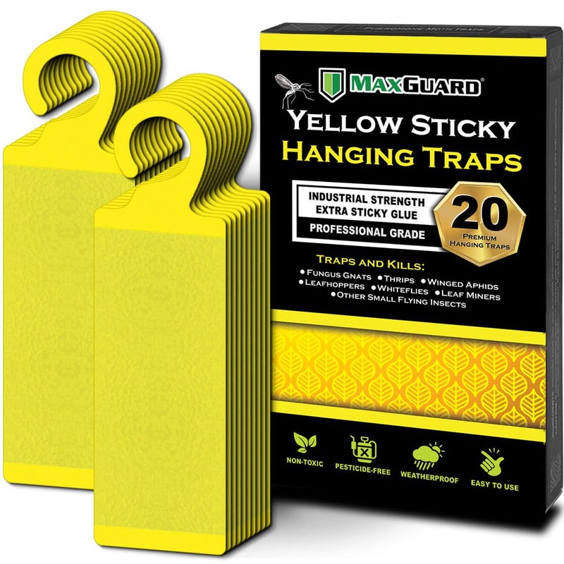 MaxGuard (20 Pack) Yellow Sticky Hanging Traps - Catch and Kill Fungus Gnats, Whiteflies, Mosquitos, Aphids, Leaf Miners, Flying Insect Catcher Glue Trappers for Indoor or Outdoor - Image 1
