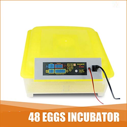 Generic 48 Eggs Mini incubator with 12v 220v  - Image 2