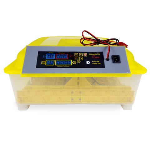 Generic 48 Eggs Mini incubator with 12v 220v  - Image 4
