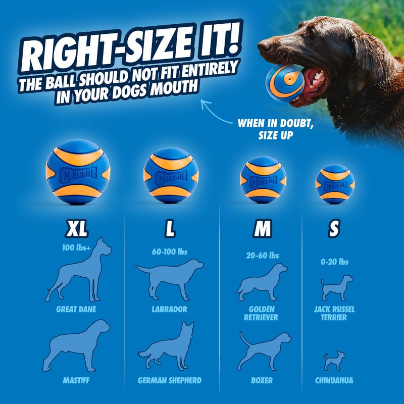 Chuckit! Ultra Squeaker Balls for Dogs, Floating Water Pet Toys, Durable Rubber Pet Toy, Bouncy Squeaky Fetch Balls For Dogs, Pack of 2, Medium (2.5") - Image 4