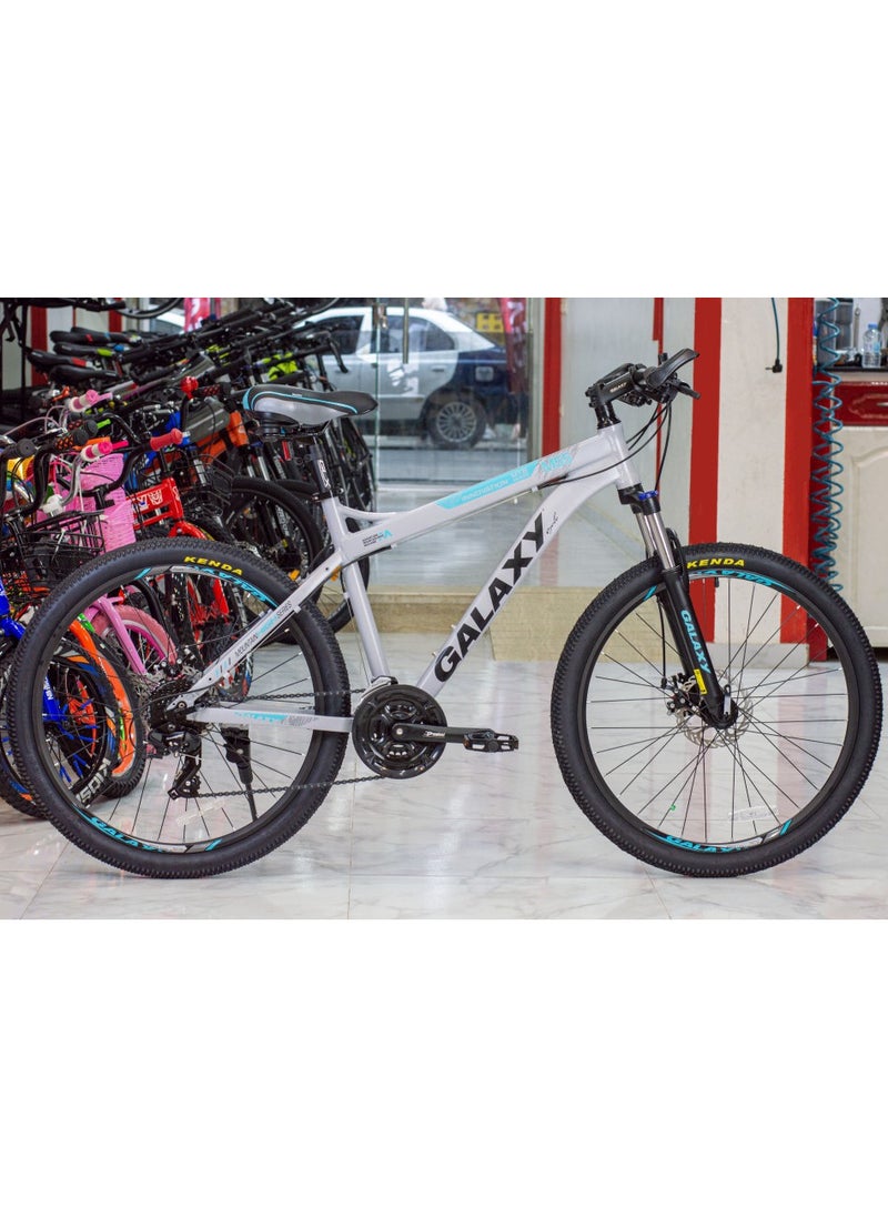Galaxy - Galaxy Bike M55 size 29 - Image 1