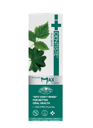 Plus White Anticavity max Fluoride Toothpaste 100gram - pzsku/ZB235BEC3764A8A8D60D9Z/45/1743585066/1302caad-feb0-4dd0-8809-4635d93ea681