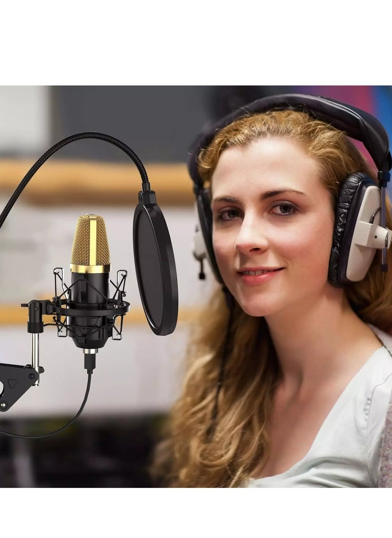 ZY-UA2 USB Condenser Cardioid Microphone Kit , 96KHz/24Bit Plug & Play for PC Recording, Gaming, Live Streaming, Voice Over, YouTube, Twitch,with Upgraded Boom Arm, - pzsku/ZB236484121717290B47EZ/45/_/1719907983/8d3dd83c-8c21-4783-a66f-3ddecc2cd879