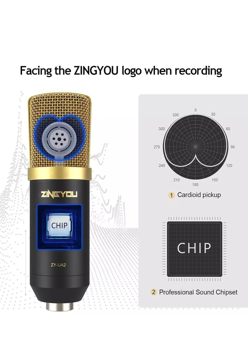 ZINGYOU - مجموعة ميكروفون قلبي ZY-UA2 بمكثف USB، توصيل وتشغيل 96 كيلو هرتز/24 بت لتسجيل الكمبيوتر، والألعاب، والبث المباشر، والتعليق الصوتي، ويوتيوب، وتويتش، مع ذراع بوم مطور، - Image 1