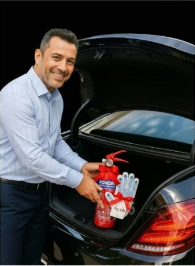 New 1 kg dry powder fire extinguisher ABC FireShield; for car; for home; for truck; for kitchen; car fire extinguishers; for cars; for homes, small for rooms; for travel; for apartment, for all types of fire, with a glove gift - Image 2