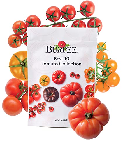 Burpee Best 10 Non-GMO Planting Tomato Seeds for Garden Gifts (1 Pack) - Image 1