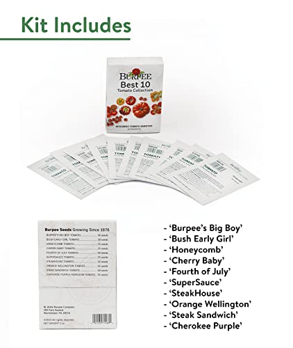 Burpee Best 10 Non-GMO Planting Tomato Seeds for Garden Gifts (1 Pack) - Image 3