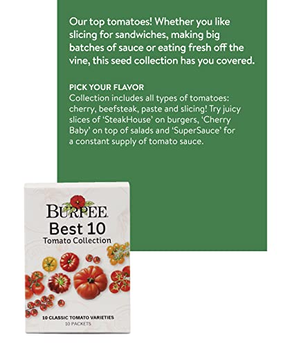 Burpee Best 10 Non-GMO Planting Tomato Seeds for Garden Gifts (1 Pack) - Image 2