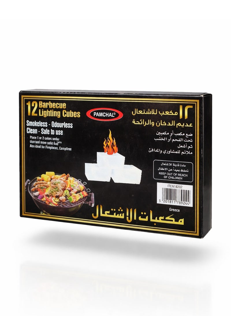 PAMCHAL 12 Pieces Charcoal Fire Starter Lighting Cubes